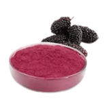 "Discover the beauty of Mulberry Powder in skincare formulations at Organicsbyjumira skincare. Elevate your skincare routine with the natural essence of Mulberry. Explore more at organicsbyjumira.com."