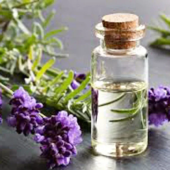 Lavender Essential Oil - Soothing and Nourishing Skincare Formulation Ingredient" “lavender essential oil ” - Organicsbyjumira"