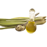 alt="Organicsbyjumira - Lemongrass Oil for Skincare Formulation, Refreshing and Revitalizing"