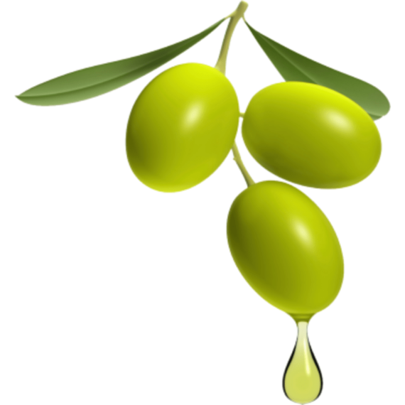 "Olive Squalane Oil: Essential Skincare Formulation by Organicsbyjumira. Clear oil drop showcasing natural beauty oil for skin nourishment. Shop Now for radiant skin at https://organicsbyjumira.com/. Organic, Pure, Squalane Oil, Skincare Elixir."