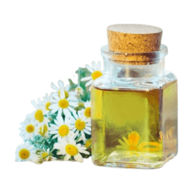 "Chamomile Oil in Skincare Formulation - A soothing and natural ingredient enhancing skincare for a calm, radiant complexion. Organicsbyjumira."