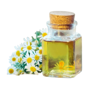 "Chamomile Oil in Skincare Formulation - A soothing and natural ingredient enhancing skincare for a calm, radiant complexion. Organicsbyjumira."