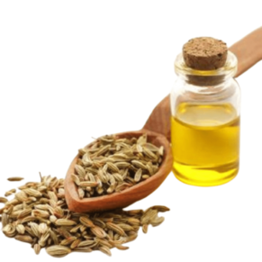 alt="Organicsbyjumira - Fennel Seed Oil for Skincare Formulation"