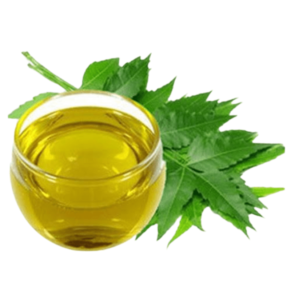 "Neem Oil for Skincare - Natural Ingredient with Cleansing and Soothing Properties" "Organicsbyjumira - Pure Neem Oil for Skincare - Organic Skin Solution"