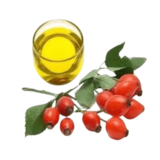 "Rosehip oil - Natural skincare solution for a radiant complexion, available at Organicsbyjumira.com"