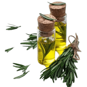 "Rosemary Essential Oil Skincare Product - Organicsbyjumira - Natural Beauty Elixir"