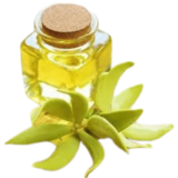 "Organicsbyjumira - Ylang Ylang Essential Oil in Skincare Formulation"